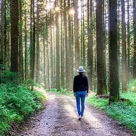 SH Health Walking forest path
