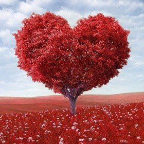 SH Beauty Tree Heart