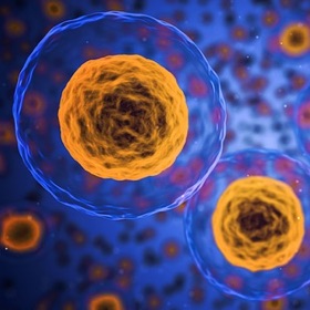 Art in the Science of Osteopathy: Stories beyond Symptoms