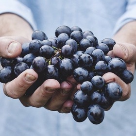 Top 10 Nutritional Tips SH Health Grapes
