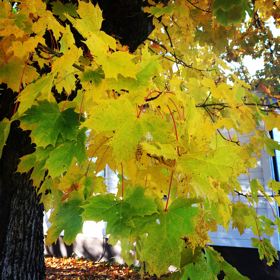 Dampness – TCM’s approach