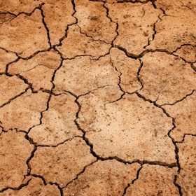 How to treat Eczema