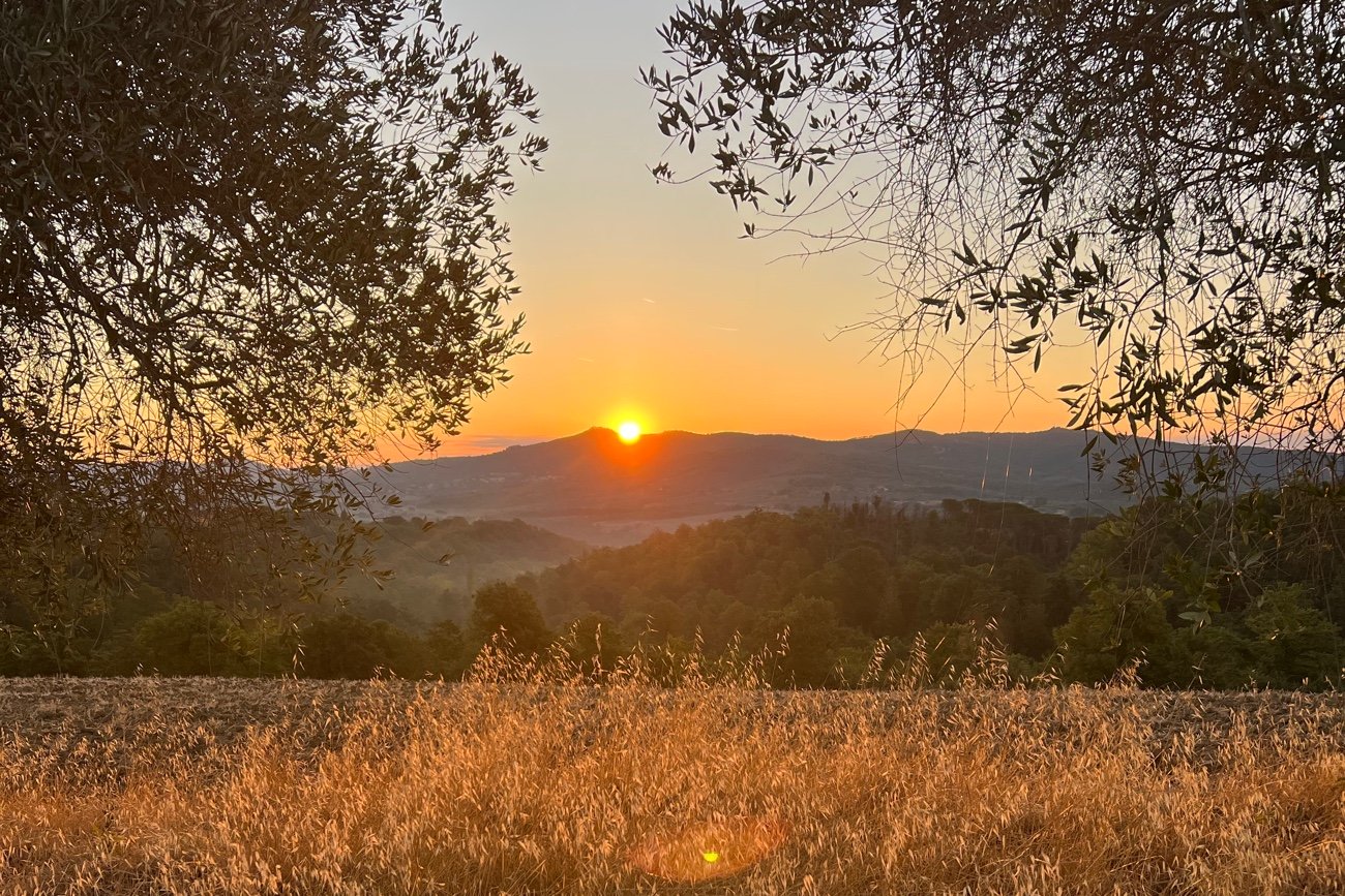 SR field sunset SR field sunset