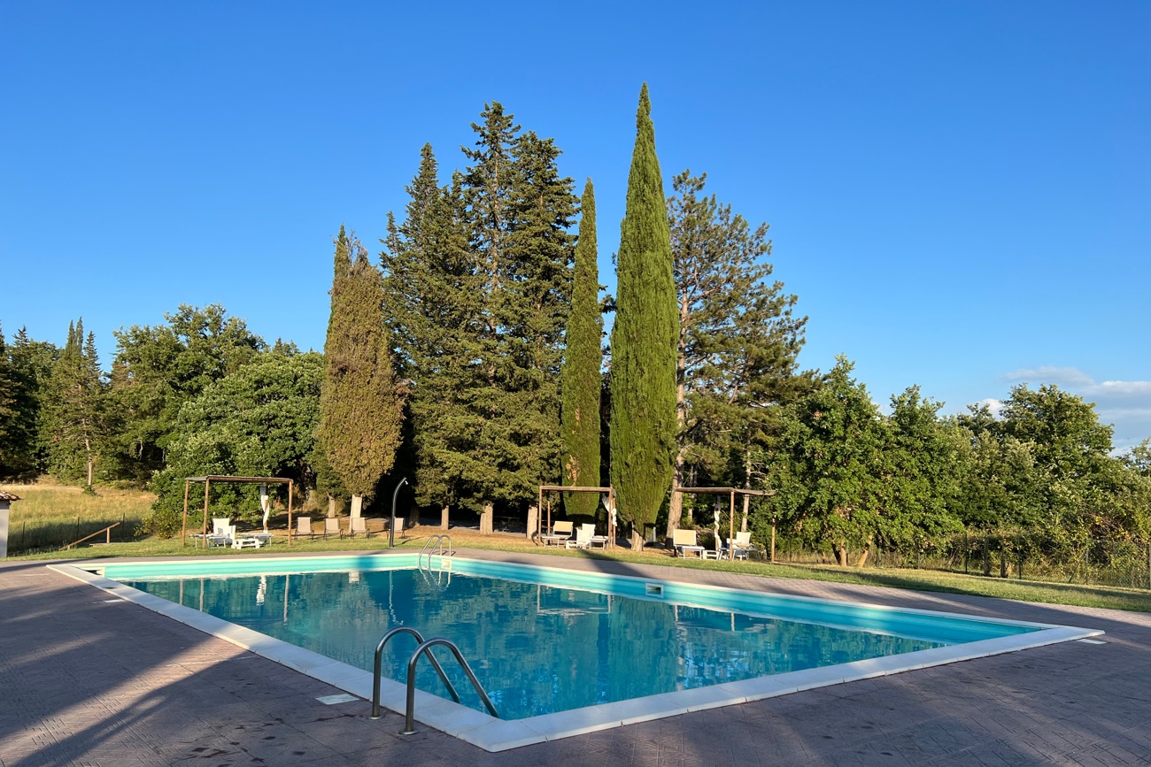 SR Retreat Pool shade Trees SR Retreat Pool shade Trees