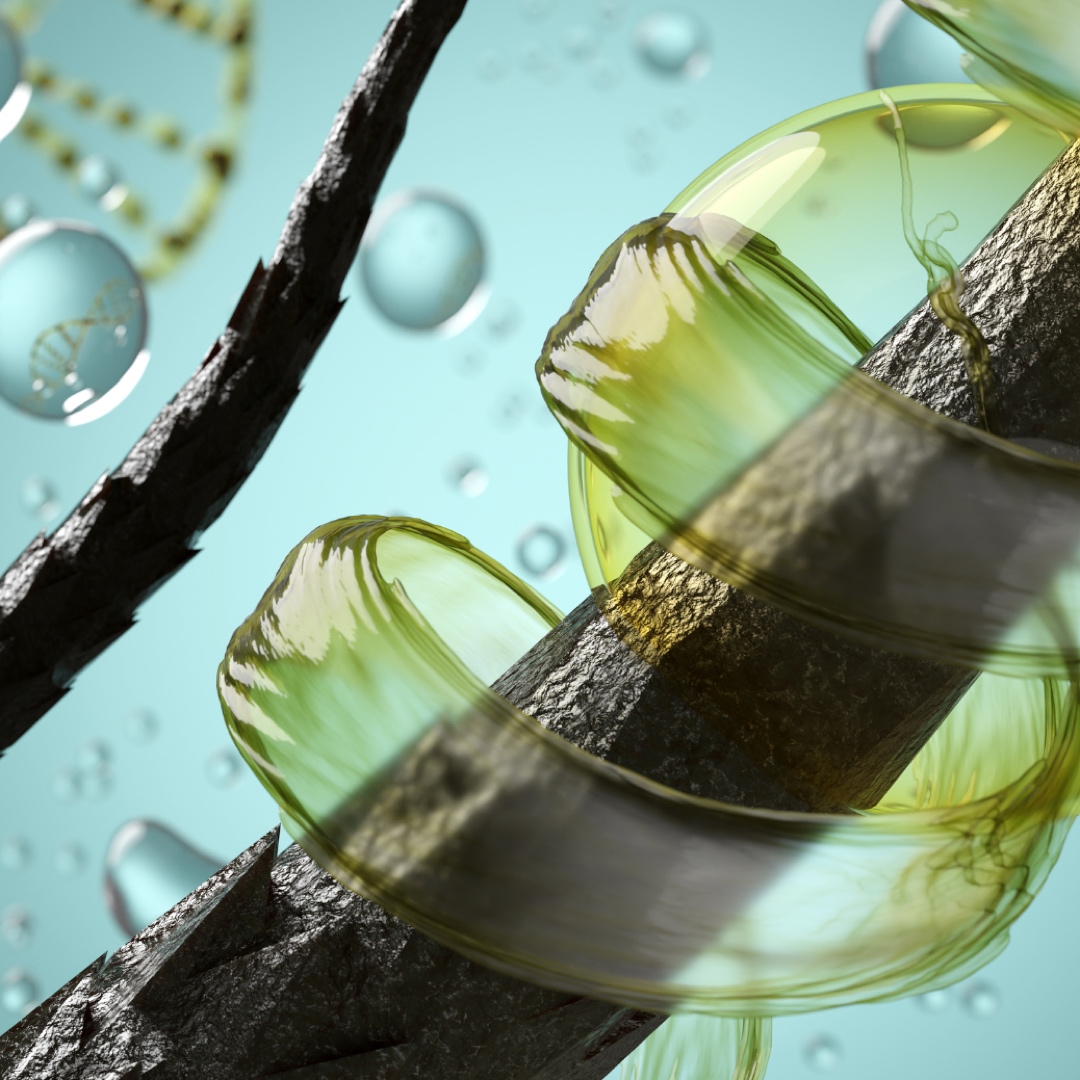 SG Keratin hair cell SG Keratin hair cell