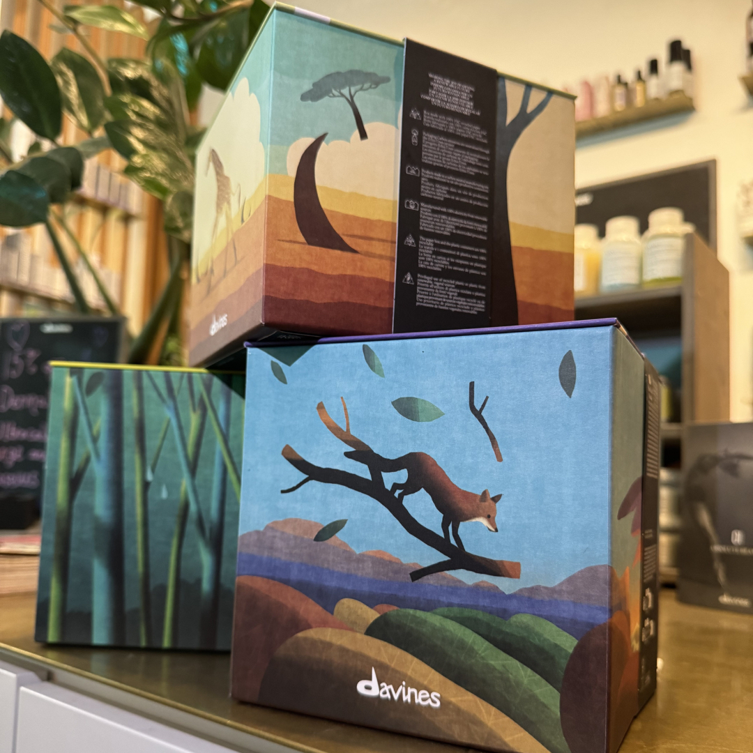 Shine Christmas Gift Guide