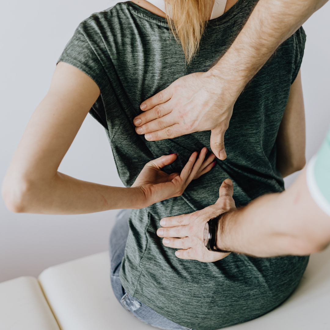 SG Health Osteo back SG Health Osteo back