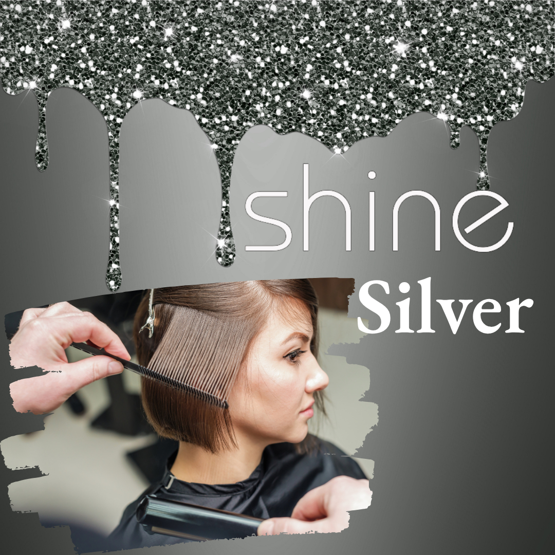 SG Silver Sub SG Silver Sub